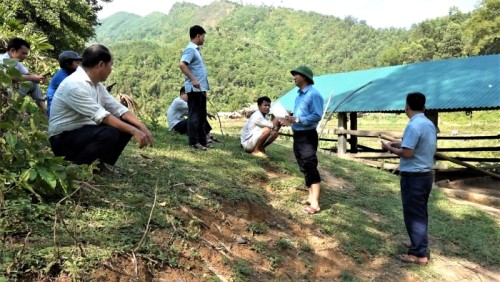 Ảnh  Pct UBND huyện Bắc Quang kiểm tra Dự án nuôi trâu tại xã Hữu Sản