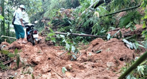 Tân Lập thiệt hại do mưa, lũ trên 500 triệu đồng