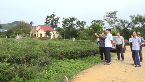 Chủ tịch UBND huyện Phùng Viết Vinh làm việc với Công ty CP Chè Hùng An về GPMB đường cao tốc