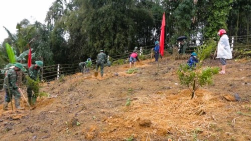 Hội CCB xã Quang Minh hỗ trợ Hội viên cải tạo vườn tạp