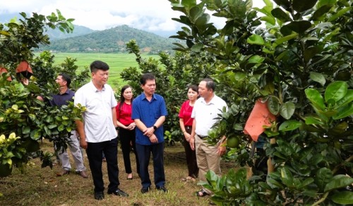 Đoàn công tác của huyện Bắc Quang thăm quan hoc hỏi kinh nghiệm tại huyện Mường Ảng tỉnh Điện Biên