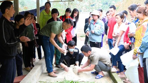 Đào tạo nghề lao động nông thôn – Phát triển nguồn nhân lực ở Bắc Quang