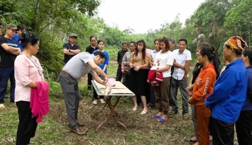 Bắc Quang coi trọng liên kết đào tạo nghề cho lao động nông thôn