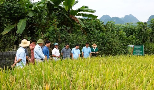 Đoàn Sở Nông nghiệp & Phát triển nông thôn tỉnh làm việc tại huyện Bắc Quang