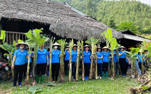 Trường TH&THCS Tân Thành giúp đỡ gia đình học sinh cải tạo vườn tập