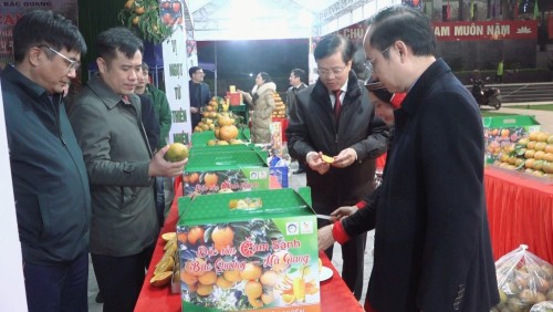 Bắc Quang Khai mạc Tuần lễ cam và Khai vụ thu hoạch sản phẩm cam Sành niên vụ 2023-2024