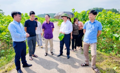 Đoàn công tác của huyện học tập kinh nghiệm trồng dâu nuôi tằm tại huyện Trấn Yên, tỉnh Yên Bái