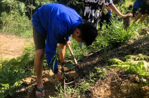 Tuổi trẻ Đông Thành tổ chức trồng cây năm 2023