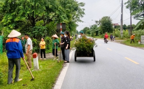Xã Tân Quang trồng bổ sung cây hoa Tường vi xây dựng các tuyến đường hoa xanh, sạch, đẹp
