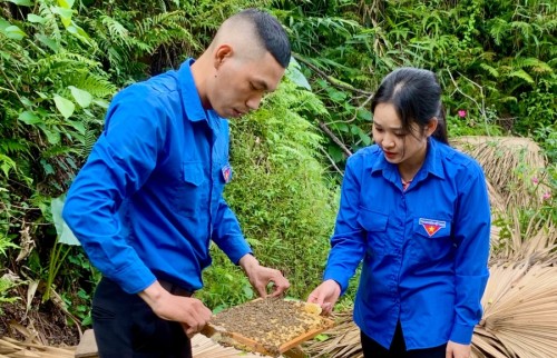 Đoàn viên Nguyễn Văn Dương khởi nghiệp từ nuôi ong lấy mật