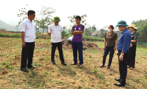Phó chủ tịch UBND huyện Nguyễn Đàm Thuyên kiểm tra nhiệm vụ phát triển kinh tế - xã hội tại xã Vô Điếm