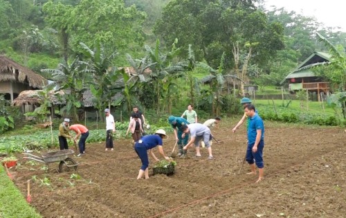 Đức Xuân tổ chức lao động cải tạo vườn tạp phát triển kinh tế